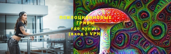 PSILOCYBIN Гусиноозёрск