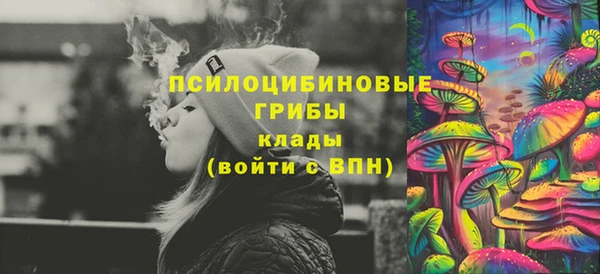 PSILOCYBIN Гусиноозёрск