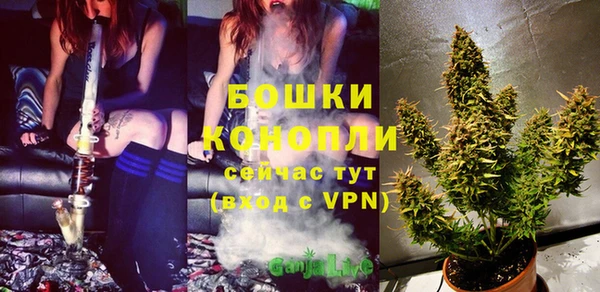 PSILOCYBIN Гусиноозёрск